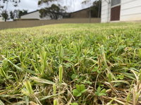 Book Karoonda Accommodation Vacations Tweed Heads Accommodation Tweed Heads Accommodation