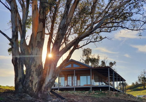 Kestrel Nest EcoHut - Tweed Heads Accommodation 0