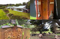 Book Kongwak Accommodation Vacations Tweed Heads Accommodation Tweed Heads Accommodation