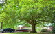 Lakes And Craters Holiday Park - thumb 2