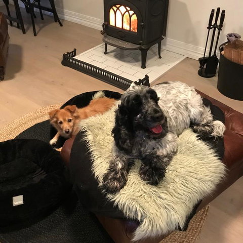 Leddicott Cottage - Tweed Heads Accommodation 3