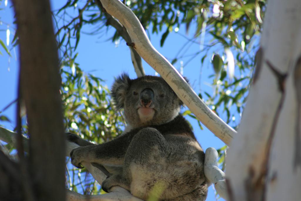 Vale Park SA Tweed Heads Accommodation