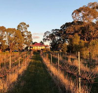 Lillicur Vineyard BB - Tweed Heads Accommodation