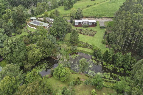 Lilypad Luxury Cabins - Tweed Heads Accommodation 3