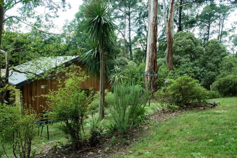 Luxury Forest Retreat - Puffing Billy - Tweed Heads Accommodation 2