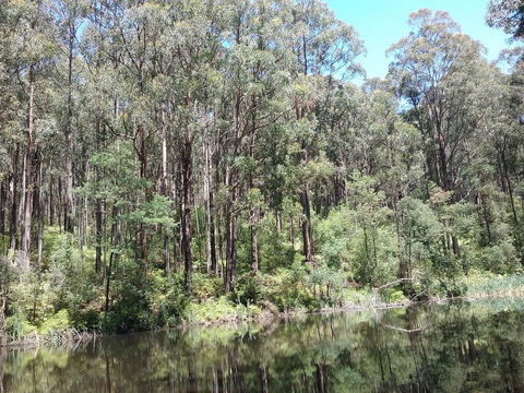Lyrebird Gully Retreat - Tweed Heads Accommodation 2