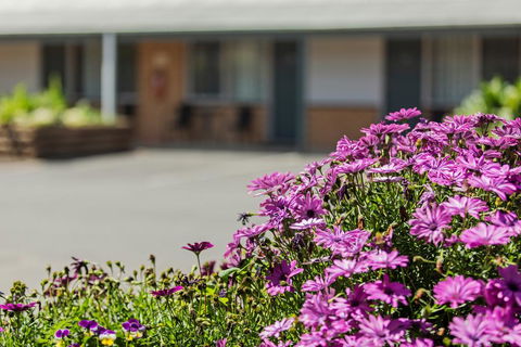 Maffra Motor Inn - Tweed Heads Accommodation 2
