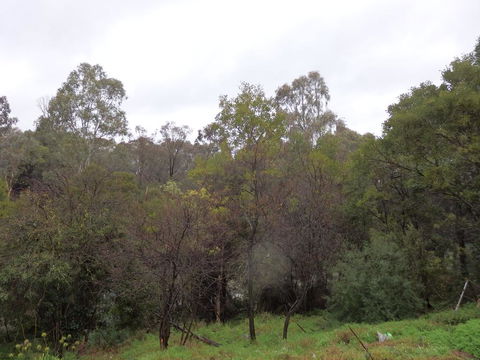 Mandall Avenue - Tweed Heads Accommodation 2