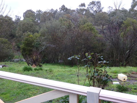 Mandall Avenue - Tweed Heads Accommodation 1