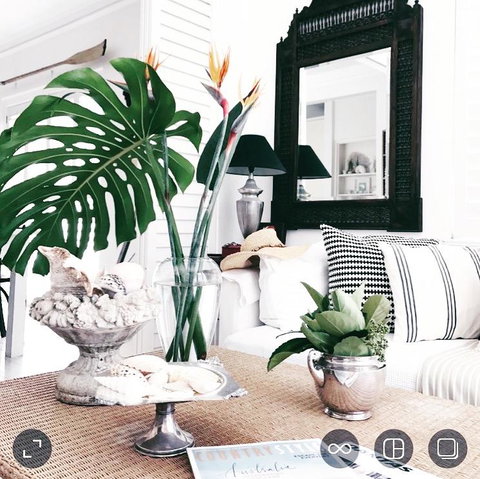 Manly Beach Retreat - Tweed Heads Accommodation 0