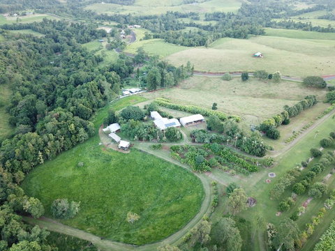Mena Creek Flower House - Tweed Heads Accommodation 3