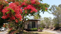Book Mount Larcom Accommodation Vacations Tweed Heads Accommodation Tweed Heads Accommodation