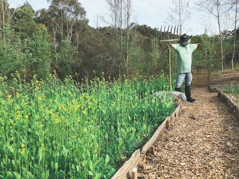 Mylor Farm, Adelaide Hills - Tweed Heads Accommodation 1