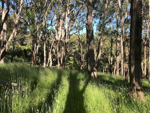 Mylor Farm, Adelaide Hills - Tweed Heads Accommodation 0