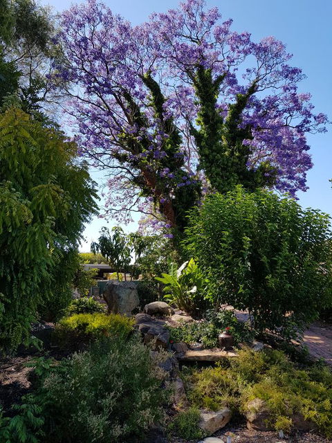 Jacaranda Hideaway Bed & Breakfast - Tweed Heads Accommodation 10
