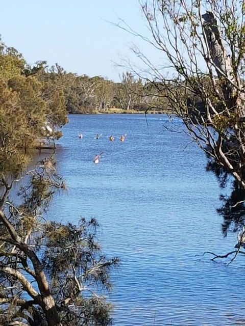 Jacaranda Hideaway Bed & Breakfast - Tweed Heads Accommodation 19