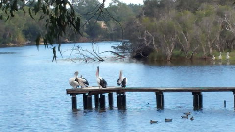 Jacaranda Hideaway Bed & Breakfast - Tweed Heads Accommodation 18