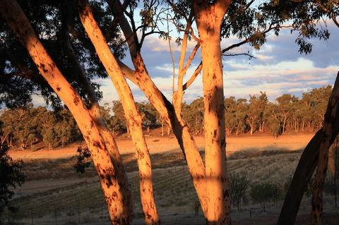Hotham Ridge Estate - Tweed Heads Accommodation 30