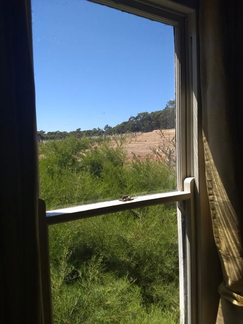 Hotham Ridge Estate - Tweed Heads Accommodation 8