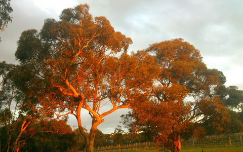 Hotham Ridge Estate - Tweed Heads Accommodation 35