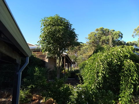 Hotham Ridge Estate - Tweed Heads Accommodation 5