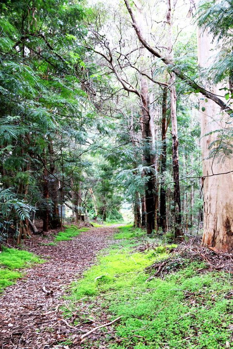 Treenbrook Cottages - Tweed Heads Accommodation 12