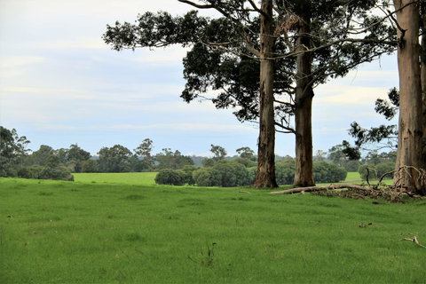 Treenbrook Cottages - Tweed Heads Accommodation 11