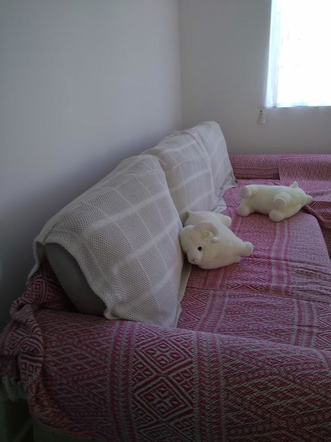 DIANELLA Budget Rooms Happy Place To Stay - Tweed Heads Accommodation 29
