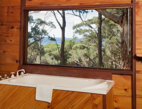 Pelicans At Denmark - Tweed Heads Accommodation 10