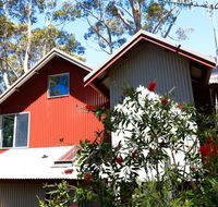 Pelicans at Denmark - Tweed Heads Accommodation
