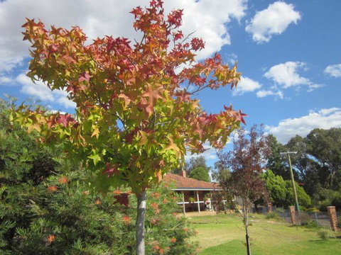 Bridgetown Valley Lodge - Tweed Heads Accommodation 40