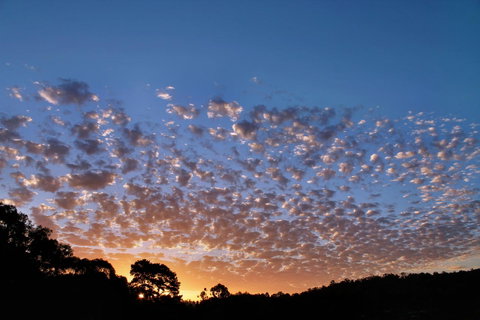 Bridgetown Valley Lodge - Tweed Heads Accommodation 6