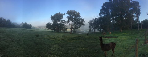 Tegwan's Nest Holiday Home - Tweed Heads Accommodation 20