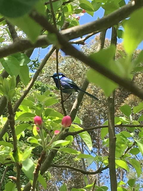 Tegwan's Nest Holiday Home - Tweed Heads Accommodation 19