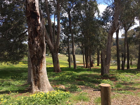 Tegwan's Nest Holiday Home - Tweed Heads Accommodation 28