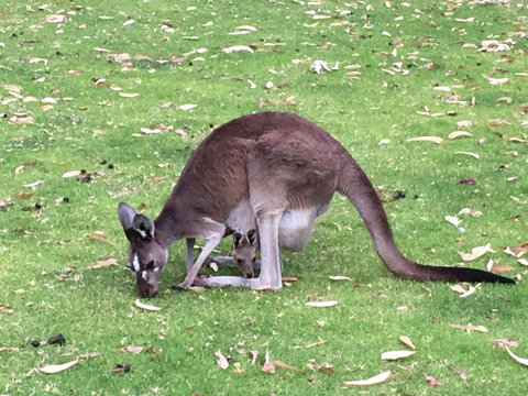 Tegwan's Nest Holiday Home - Tweed Heads Accommodation 1