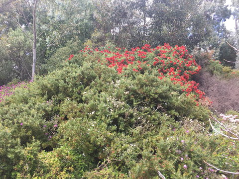 Tegwan's Nest Holiday Home - Tweed Heads Accommodation 42