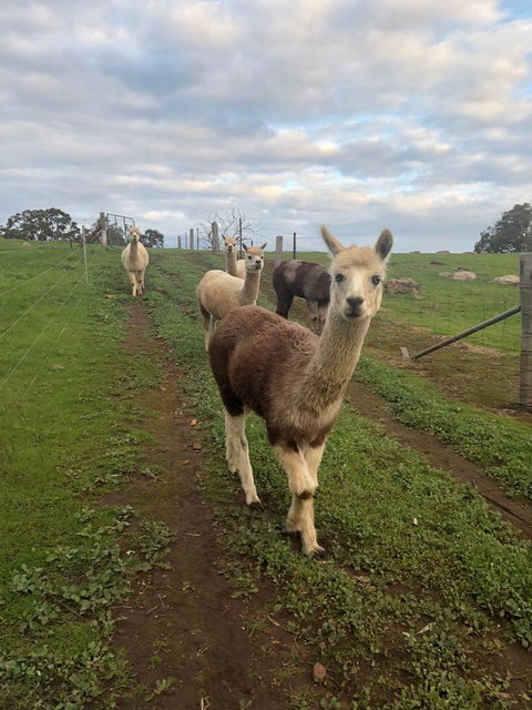 Tegwan's Nest Holiday Home - Tweed Heads Accommodation 12