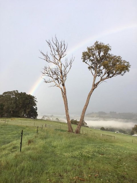 Tegwan's Nest Holiday Home - Tweed Heads Accommodation 13