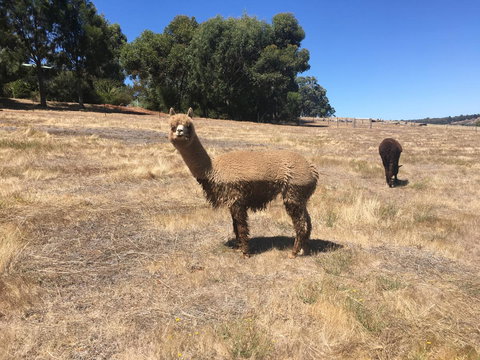 Tegwan's Nest Holiday Home - Tweed Heads Accommodation 21