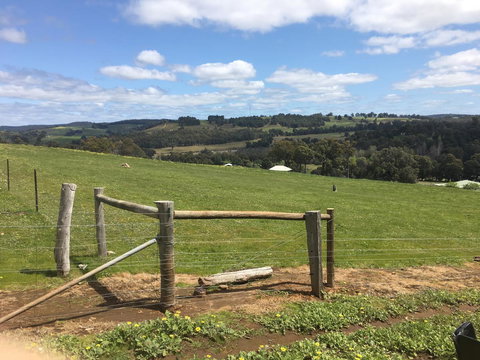 Tegwan's Nest Holiday Home - Tweed Heads Accommodation 39