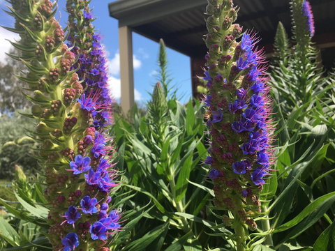 Tegwan's Nest Holiday Home - Tweed Heads Accommodation 41