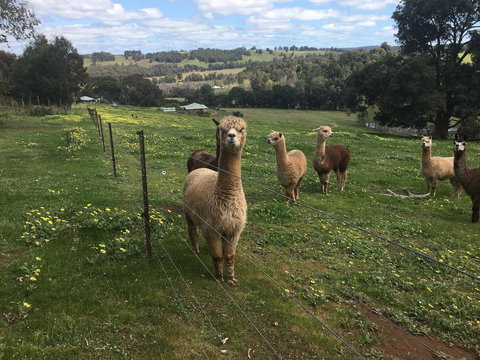 Tegwan's Nest Holiday Home - Tweed Heads Accommodation 44