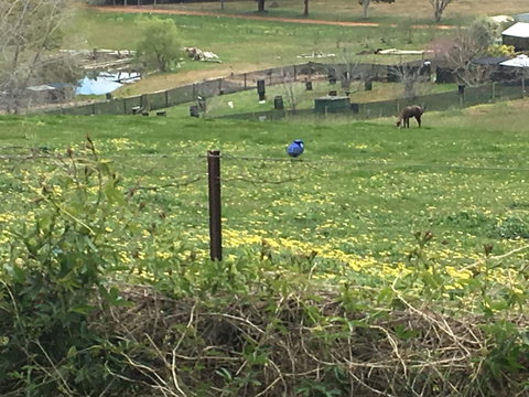 Tegwan's Nest Holiday Home - Tweed Heads Accommodation 37