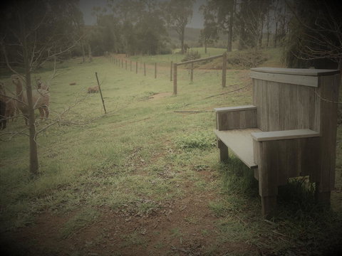 Tegwan's Nest Holiday Home - Tweed Heads Accommodation 43