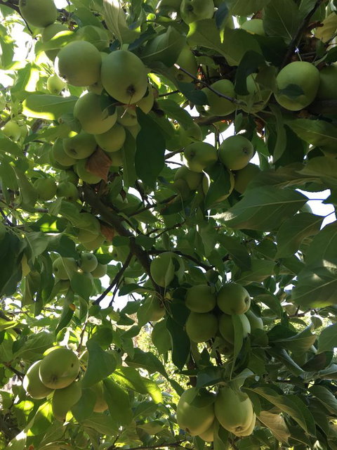 Tegwan's Nest Holiday Home - Tweed Heads Accommodation 22