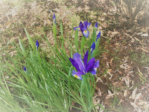 Tegwan's Nest Holiday Home - Tweed Heads Accommodation 40