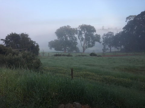 Tegwan's Nest Holiday Home - Tweed Heads Accommodation 29