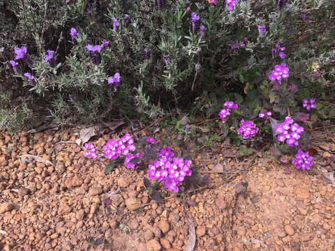 Tegwan's Nest Holiday Home - Tweed Heads Accommodation 38