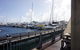 Oceanside 22 - thumb 17